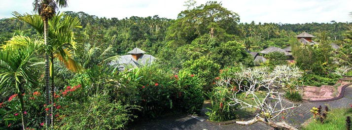 The Payogan Villa Resort & Spa - Ubud 01.jpg